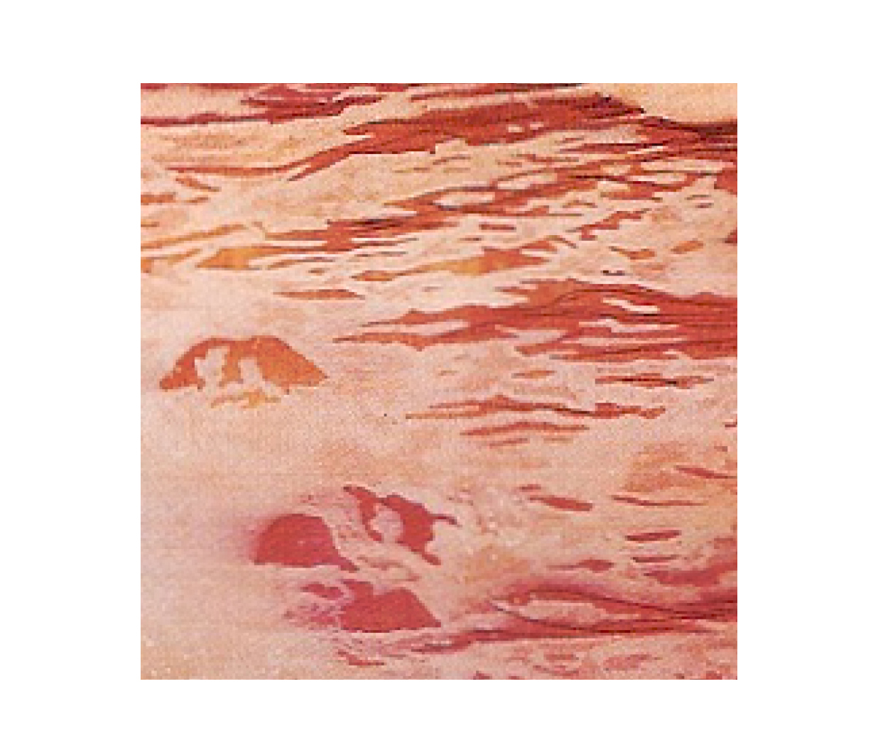 1f4e7d1b35e6bb02c48c03b24243faf5_1776221268_3819.jpg 1f4e7d1b35e6bb02c48c03b24243faf5_1776221268_3819.jpg